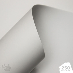 Papel couchê para pastas — Gráfica Flamboyant